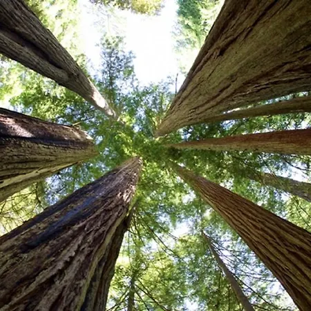 Semesterbostad J-club De Knapzak / La Besace *