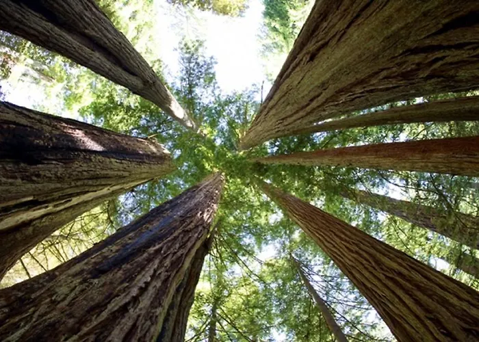 Hébergement de vacances J-club De Knapzak / La Besace *